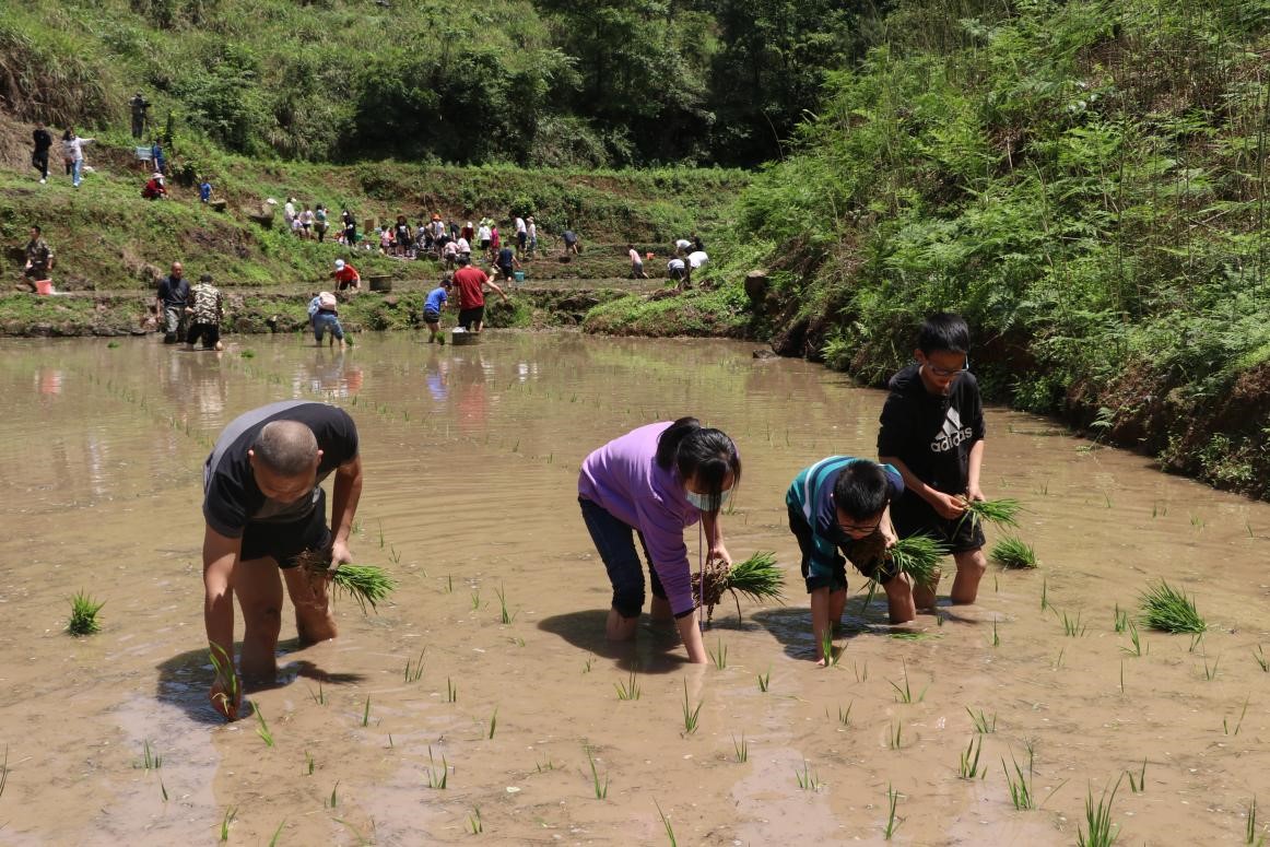 9-插秧比赛.jpg