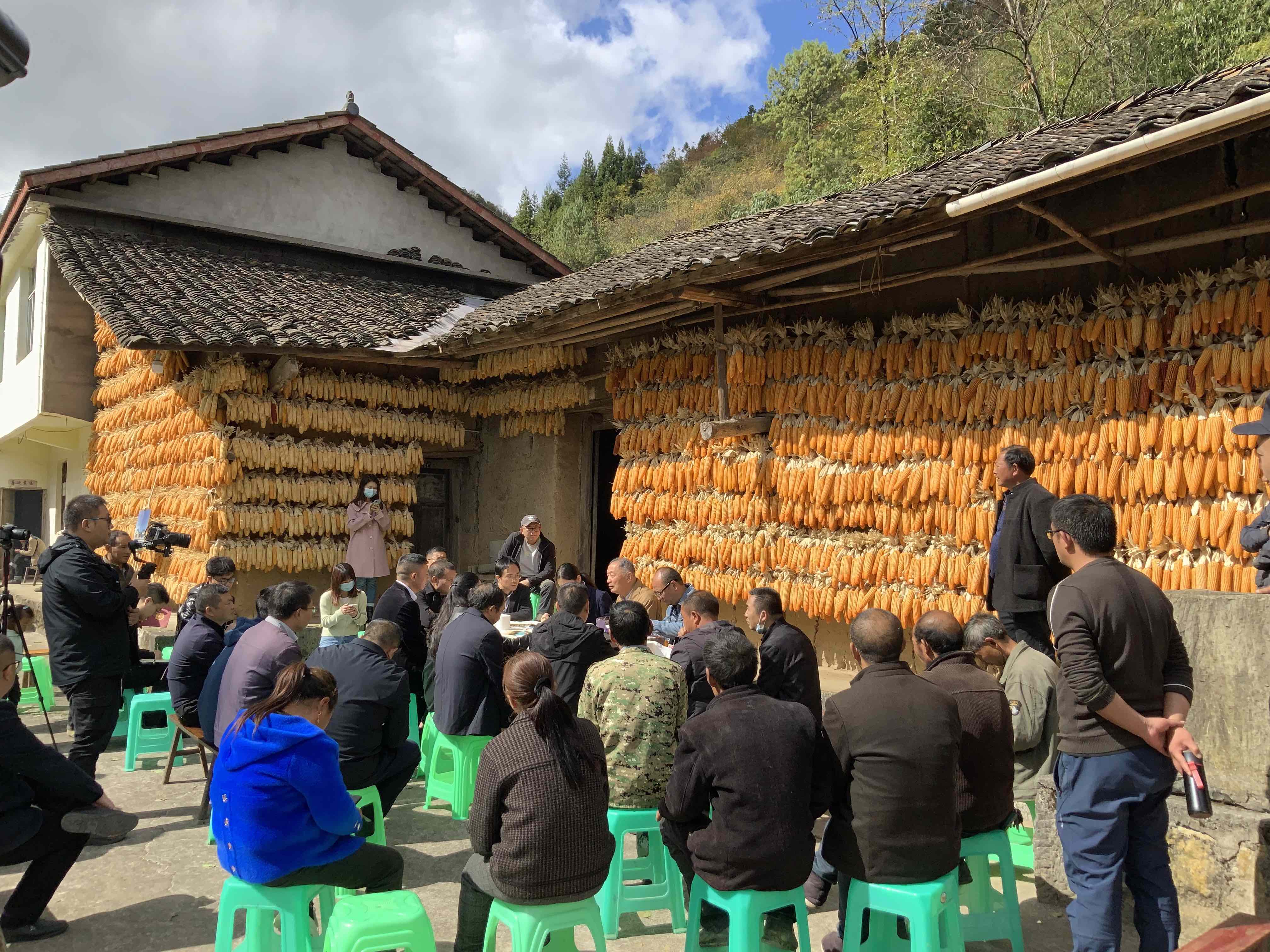 图2 创客村院坝会.jpg